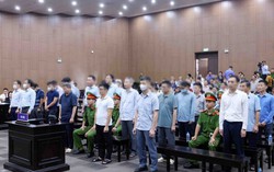 Vụ Tập đoàn Thuận An: 17 bị cáo kháng cáo xin giảm nhẹ hình phạt