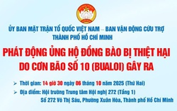 TPHCM kêu gọi khẩn cấp ủng hộ đồng bào bị thiệt hại nặng nề do bão số 10