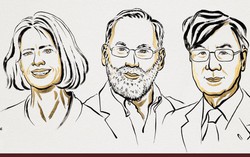 1 trong 3 chủ nhân của giải Nobel Y sinh 2025 là nữ