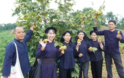 Làn sóng khởi nghiệp nữ: Thêm động lực cho phát triển kinh tế