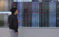 Cổ phiếu chứng khoán “tím lịm”, VN-Index áp sát 1.700 điểm