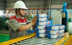 CADIVI kỷ niệm 50 năm thành lập