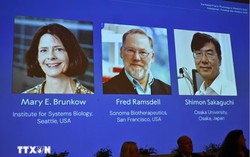 Giải Nobel Y Sinh 2025: Sự kỳ diệu của 'lá chắn an ninh sinh học'