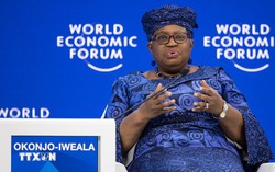 WTO: Tăng trưởng thương mại toàn cầu 2025 khả quan nhờ AI và nhập khẩu Mỹ