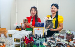 Xúc tiến thương mại cho nông sản và sản phẩm OCOP vùng dân tộc thiểu số và miền núi khu vực Tây Bắc