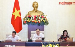 Bảo vệ quyền lợi người tiêu dùng và ổn định quản lý, điều tiết giá