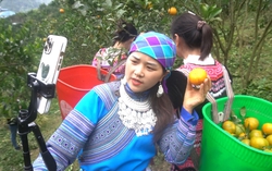 Niềm tin số - nền tảng vững chắc cho chuyển đổi số quốc gia