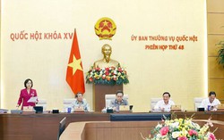 Hướng dẫn mới về cơ cấu, thành phần người được giới thiệu ứng cử đại biểu HĐND