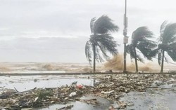 Đề nghị các tỉnh ven biển từ Quảng Ninh đến Đắk Lắk chủ động ứng phó bão số 14