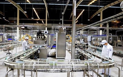 Hợp chất thay thế kháng sinh mở ra hướng đi bền vững cho ngành sữa toàn cầu