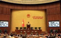 Hôm nay, Quốc hội làm việc về 7 dự thảo luật bổ sung, sửa đổi