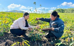 Gia Lai: Hành trình "không để ai bị bỏ lại phía sau"