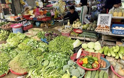 Giá rau củ ở TPHCM tăng mạnh, người bán người mua đều gặp khó