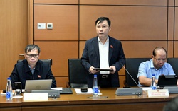 Cần đưa thuốc lá điện tử, thuốc lá nung nóng vào danh mục cấm đầu tư kinh doanh