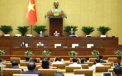 Đề xuất rà soát, cắt giảm 25 ngành, nghề kinh doanh có điều kiện