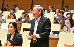 Đại biểu đề nghị cho phép phạm nhân gửi tiền công lao động trong trại giam về giúp đỡ gia đình