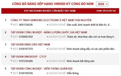 Công bố Bảng xếp hạng VNR500 - Top500 Doanh nghiệp lớn nhất Việt Nam năm 2025