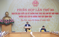 Thủ tướng: Người đứng đầu bộ, ngành, địa phương phải chịu trách nhiệm trực tiếp, toàn diện nếu để tàu cá vi phạm IUU