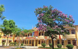 Hà Tĩnh: Khởi tố nam sinh lớp 11 dùng gậy gỗ đánh học sinh lớp 9 tử vong