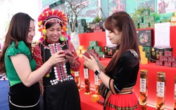 Bộ Công Thương tạo cầu nối, mở rộng tiêu thụ sản phẩm khu vực dân tộc thiểu số và miền núi phía Bắc 