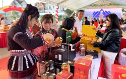 Hỗ trợ các địa phương mở rộng thị trường tiêu thụ bền vững cho sản phẩm miền núi, vùng sâu, vùng xa