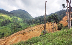 Sạt lở kinh hoàng ở xã vùng cao Đà Nẵng, 3 người mất liên lạc 