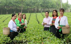 Không còn hộ nghèo, đời sống vùng đồng bào dân tộc thiểu số ở Hà Nội thay đổi rõ rệt sau 5 năm