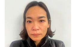 Bắt "nữ quái" thuê 6 ô tô rồi đem cầm cố hơn 1,5 tỷ đồng