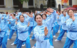 Người cao tuổi không phải là gánh nặng kinh tế mà là nguồn lực phát triển kinh tế xã hội