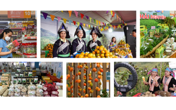 Thúc đẩy thương mại miền núi, vùng sâu, vùng xa và hải đảo, hướng tới phát triển bền vững