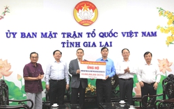 Một doanh nghiệp hỗ trợ 10 tỷ đồng cho người dân Gia Lai bị ảnh hưởng bão số 13