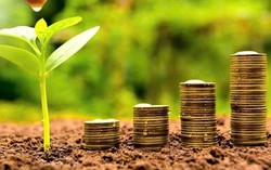 13 doanh nghiệp trả cổ tức tiền mặt, mức cao nhất lên tới 80%