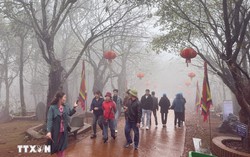 Các địa phương chủ động ứng phó với rét đậm, rét hại và gió mạnh trên biển