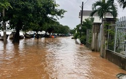 Quảng Trị: Người dân ở hạ lưu ven sông Thạch Hãn khẩn trương "chạy lũ"