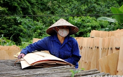 Lao động thời vụ bị tai nạn có được bồi thường không?