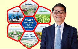 Một cổ đông nước ngoài nắm giữ 26,6% vốn của THACO