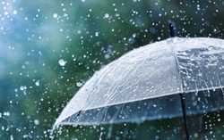 Ngẫu cảm mưa... 