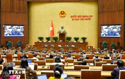 Hôm nay, Quốc hội dành cả ngày để thảo luận về lĩnh vực giáo dục