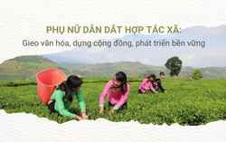 Phụ nữ dẫn dắt hợp tác xã: Gieo văn hóa, dựng cộng đồng, phát triển bền vững