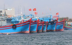 Các tỉnh, thành phố từ Thanh Hóa đến An Giang chủ động ứng phó bão Kalmaegi