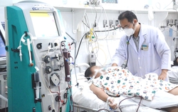 Hơn 700 chuyên gia y tế, nhà khoa học sẽ góp mặt tại hội nghị toàn quốc về sốt xuất huyết