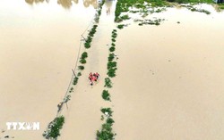Điều động lực lượng ứng cứu người dân bị ngập lụt tại Khánh Hòa