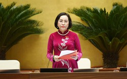 Đề xuất Sở Giáo dục và Đào tạo tổ chức kỳ thi chung cho tất cả chỉ tiêu tuyển dụng giáo viên 