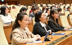 Đòn bẩy giúp Việt Nam xây dựng nền kinh tế AI năng động, tự chủ về công nghệ