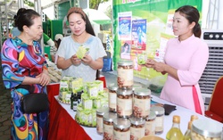 Khu vực miền núi, vùng sâu, vùng xa và hải đảo đổi thay từ những chương trình hỗ trợ thương mại