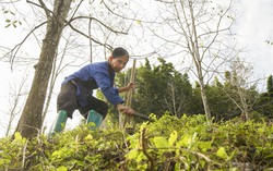 Hội LHPN Thái Nguyên: Tập trung thực hiện các nhiệm vụ trụ cột An sinh - Gia đình - Bình đẳng giới