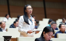 Đại biểu Quốc hội đề nghị nền tảng số phải trả phí cho báo chí nếu trích dẫn thông tin