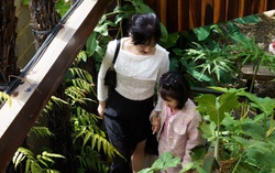 Gặp lại cô bé bị cha ruột giấu đi