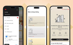 Tại sao chứng chỉ quỹ ngày càng được ưa chuộng? 