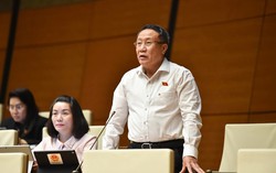 Đề nghị thu hồi ưu đãi, bồi hoàn gấp đôi số tiền ưu đãi nếu nhà đầu tư không hoàn thành cam kết